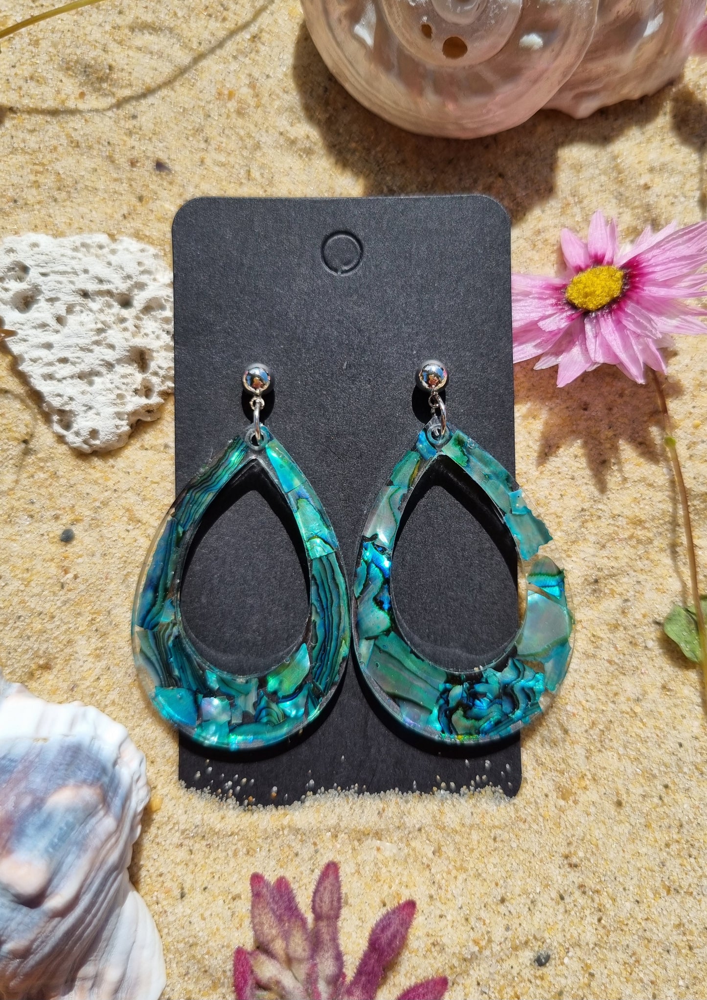 Paua