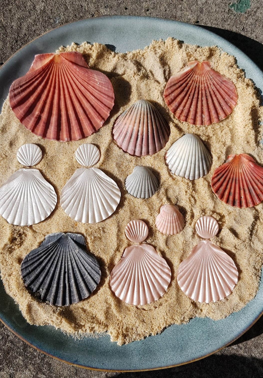 Shell Collection - Paua - Shell and Resin